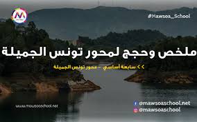 وصف حر الصيف في يوم قائض. ØªÙ„Ø®ÙŠØµ Ù„Ù…Ø­ÙˆØ± ØªÙˆÙ†Ø³ Ø§Ù„Ø¬Ù…ÙŠÙ„Ø© Ø³Ø§Ø¨Ø¹Ø© Ø§Ø³Ø§Ø³ÙŠ Ù…ÙˆØ³ÙˆØ¹Ø© Ø³ÙƒÙˆÙˆÙ„ Mawsoa School