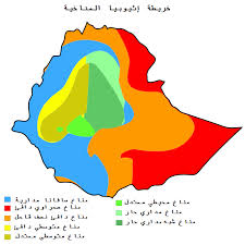 خريطة انتشار فيروس كورونا وأحدث الأرقام المسجّلة. Ø¥Ø«ÙŠÙˆØ¨ÙŠØ§ Wikiwand