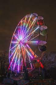 Daily Agendas For Every Type Of Memphis Zoo Visitor Memphis Zoo Zoo Zoo Lights