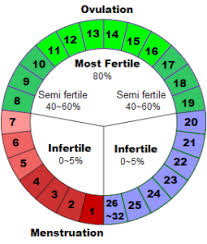 Menstrual Cycle Chart Natural Birth Control Menstrual