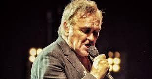 Move Over Man! Dog Proves She Is Pig's Best Friend