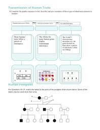 Human chromosomes lab 5 objectives upon completion of this activity, you should be able to: Transmission Of Human Traits Answers Read Online And Download Pdf