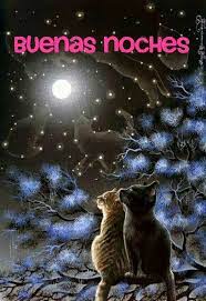 Pin De Elvi En Sueno Imagenes De Buenas Noches Buenas Noches Noche
