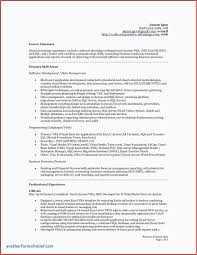 Director Of Engineering Resume Beautiful Luxury Enterprise Risk Management Resume