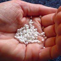 When learning about out how long it takes for a body to decompose, it is important to also understand the 5 stages of decomposition in humans. Styrofoam Facts Why You May Want To Bring Your Own Cup Sej