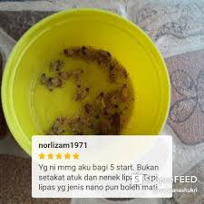 Maybe you would like to learn more about one of these? Kill It Anti Lipas Dalam Kereta Shopee Malaysia