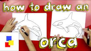 How To Draw A Killer Whale - Youtube