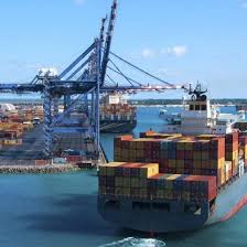Tỉ lệ vận chuyển hàng hóa từ Maputo Mozambique cơ quan vận chuyển đại dương  với Dịch vụ tốt nhất tại Trung Quốc
