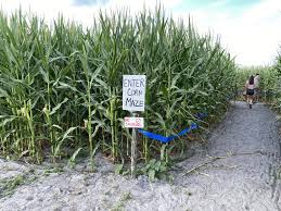 Guide to Great Scott Farms 2023: Best Corn Maze in Central Florida