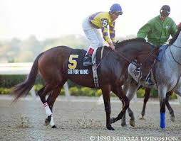 Go For Wand Horse Racing Horses Horse Racing Results