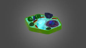 The typical characteristics that define the plant cell include cellulose, hemicellulose and pectin, plastids which play a major role in photosynthesis and storage of starch, large vacuoles. Plant Cell Organelles Download Free 3d Model By Interactive Art Cvallance01 E61e7bd