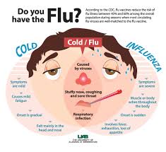 Browse all stop & shop pharmacy locations in the united states to receive immunization services, easy prescription transfers, health screenings, text alerts, and other prescription services while you shop. Cold Vs Flu Which Is It News Uab