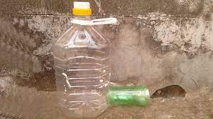 Rat Traps Homemade How To Make A Simple Mouse Trap From Plastic Bottle Mouse Traps Rat Traps Bucket Mouse Trap