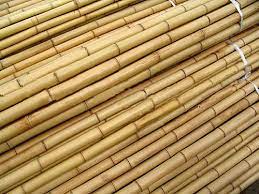 There are 1002 bamboo bundles for sale on etsy, and they cost 61,12 $ on average. Wholesale Bamboo Poles Bamboo Store 12 Feet Bamboo Poles