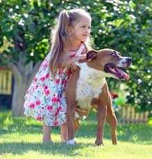 Learn more about a tucson exterminator by clicking view details, or enter a new zip code in the search box below to search again. Pest Control Company Tucson Az Moxie Pest Control