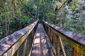 A long, deep hollow in the earth's surface, esp. Explore Ravine Gardens State Park In Palatka