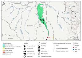 Image result for Ascolepis lineariglumis