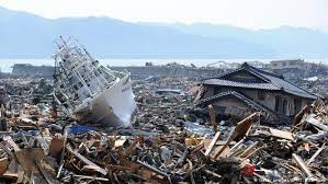 More than 18,000 people were killed. Tsunami Carried Japanese Animals To Us Science In Depth Reporting On Science And Technology Dw 28 09 2017