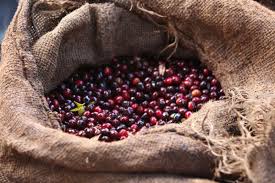 More Transparency Is Coming To Ethiopian Coffee