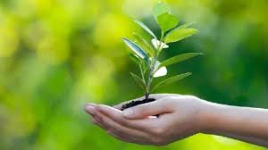 موضوع نشيط لا يحتوي على مشاركات جديدة. Ù…ÙˆØ¶ÙˆØ¹ ØªØ¹Ø¨ÙŠØ± Ø¹Ù† Ø§Ù„Ù…Ø­Ø§ÙØ¸Ø© Ø¹Ù„Ù‰ Ø§Ù„Ø¨ÙŠØ¦Ø© Ø¨Ø§Ù„Ø¹Ù†Ø§ØµØ± ÙŠÙ„Ø§ Ù†Ø°Ø§ÙƒØ±