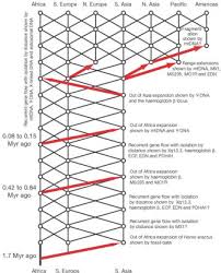 human genetic diversity and diversification of genetic