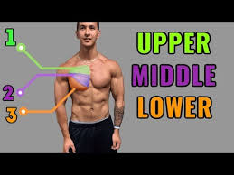 Abdominal head of pectoralis major muscle. Chest Workout For Mass 5 Exercises To Follow For Massive Gains