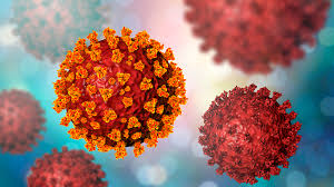 2019 novel coronavirus, wuhan seafood market pneumonia virus) — оболочечный одноцепочный. Heating Of Blood Samples To Deactivate Sars Cov 2 Virus Bruker