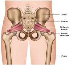 How To Release The Piriformis Muscle Massage Ball And Stretching In 2020 Piriformis Muscle Piriformis Syndrome Piriformis