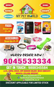 7 usa pet express coupons now on retailmenot. Pet Express Kanker Khera Dog Food Retailers In Meerut Justdial