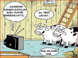 Komik bayram mesajları ile çevrenizdekilere esprili bir gönderimde bulunabilirsiniz. Komik Kurban Bayrami Mesajlari Gulduren Bayram Mesajlari En Yeni Guzel Sozler 2020