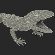 3d Model European Green Lizard Lacerta Lizard 3d Model Model