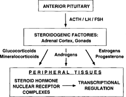 Peptide Hormone An Overview Sciencedirect Topics