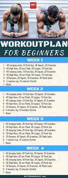 Apakah anda memiliki jadwal latihan full body workout? Contoh Rencana Latihan Fitnes Untuk Pemula Wiwa10