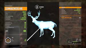 Maybe you would like to learn more about one of these? Steam Community Guide Starthilfe The Hunter Erklart Mit Tipps Fur Neueinsteiger