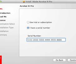 Adobe unveiled details of the features and functions that will be included in the upcoming adobe reader x. Crack Adobe Acrobat X Pro Serial Number