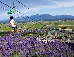 夏の北海道を体感｜中富良野町 季節を楽しむ、ラベンダーと自然のまち | 北海道生活