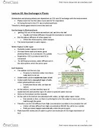 Maybe you would like to learn more about one of these? Biology 2601a B Lecture Notes Fall 2017 Lecture 10 Stoma Epidermis Fick S Laws Of Diffusion