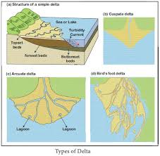 A river delta is formed at the mouth of a river where the river deposits the sediment load carried by it and drains into a slower moving or static body of water. Delta