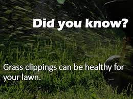 Check spelling or type a new query. Are Grass Clippings Good For My Lawn Lawn Doctor Blog