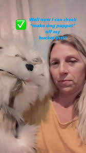 Who let the Dogs Out?