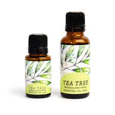 Image result for Melaleuca