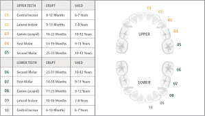 Maybe you would like to learn more about one of these? Children S Dentistry A Lifetime Of Healthy Smiles Merit Dental
