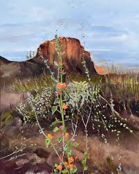 Maybe you would like to learn more about one of these? Arizona Desert Flowers Jan Kornegay Dappen