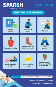 Image result for Proteinuria Causes