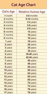To make sure your child is on the right track, here's the median height and weight* of kids at four years and three months. We All Know About Do Katzen Alter Katzen Hundejahre