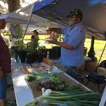 Globe-Miami Farmers Market Saturdays 8-11 AM