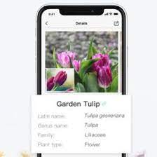 Picturethis Plant Identification App Plant Identification App Plant Identification Plants
