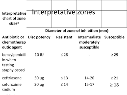 Antimicrobial Susceptibility Testing Ppt Download