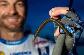 Top 5 Winning Baits from the 2025 Bassmaster Elite