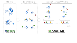 I <p>when browsing through different uniprot proteins, you can use the 'basket' to save them, so that you can back to we'd like to inform you that we have updated our privacy notice to comply with europe's new general data protection regulation (gdpr) that applies. Pdbe Knowledge Base